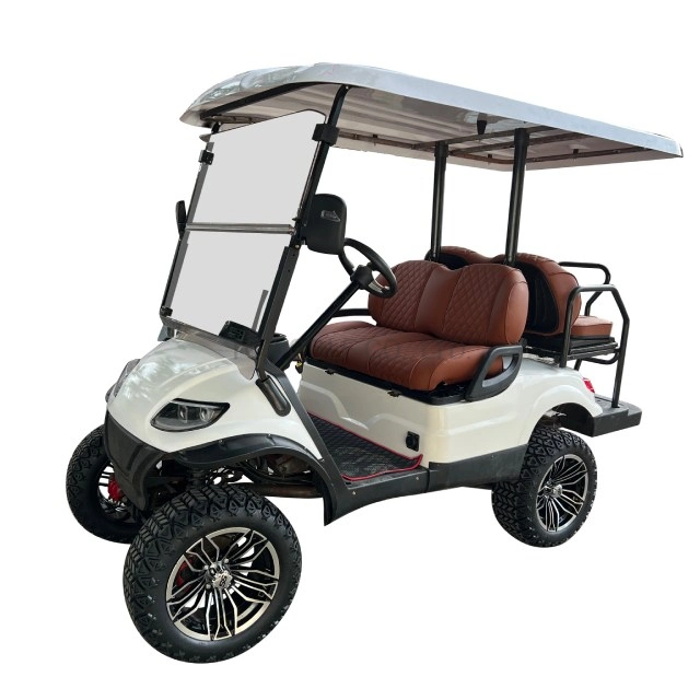 48V/4kw Golf Cart EV 2+2g Integral Rear Axle Electric Car