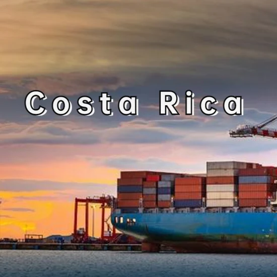 Trasporto marittimo da Shanghai, Cina al Costa Rica, DDP