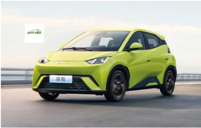 Gabbiano Ontime dell'automobile elettrica del veicolo energetico di colore verde